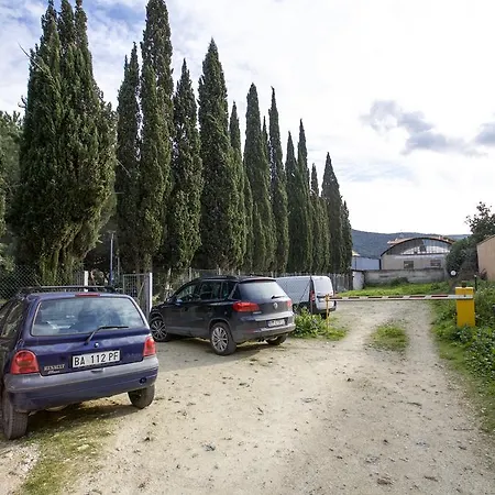 Trilo Lo Scoglio Daire